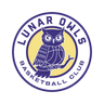 Lunar Owls Logo